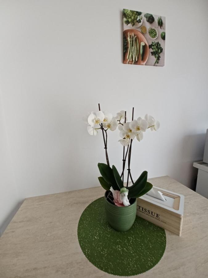 סיביו Angel Apartament מראה חיצוני תמונה