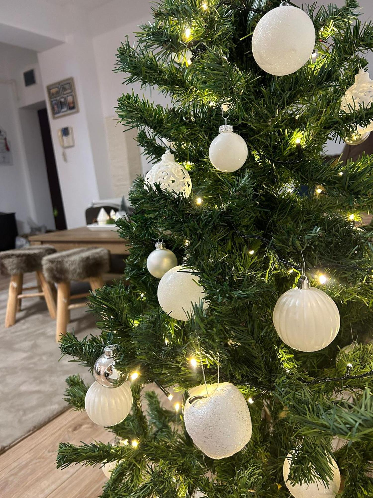 סיביו Angel Apartament מראה חיצוני תמונה