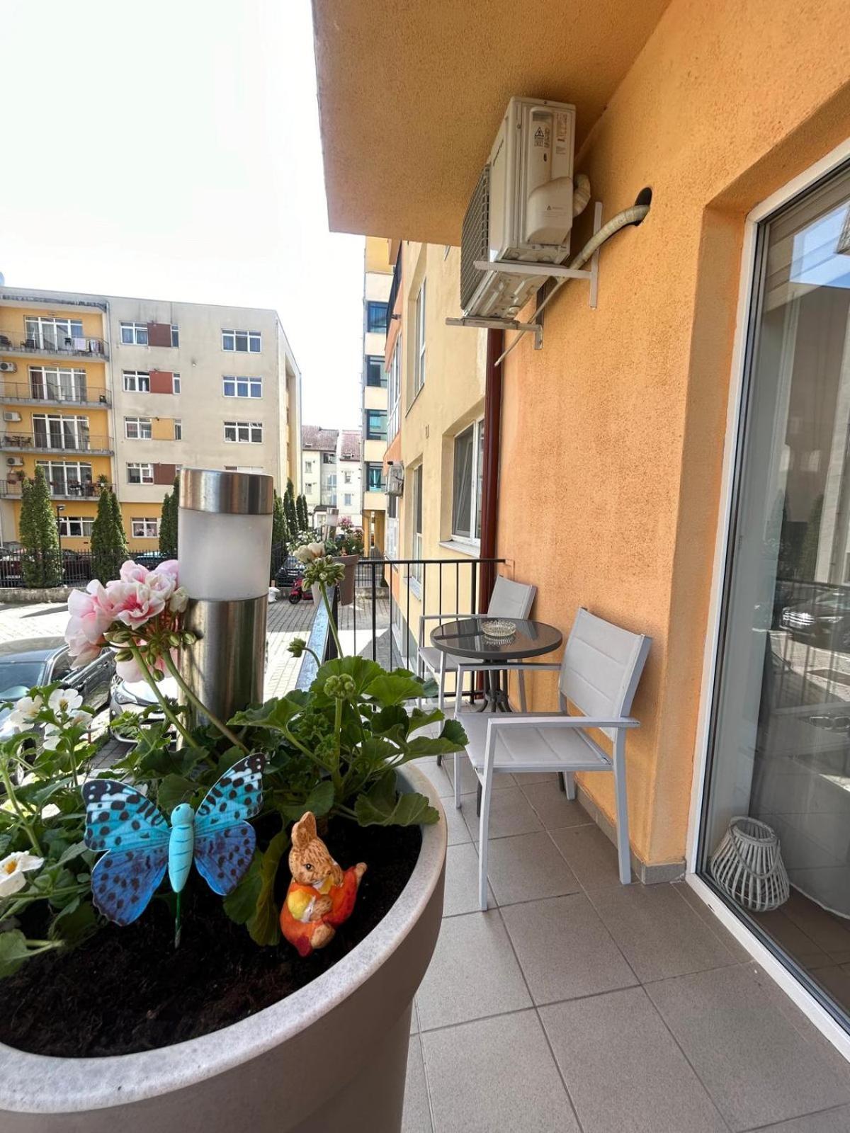 סיביו Angel Apartament מראה חיצוני תמונה